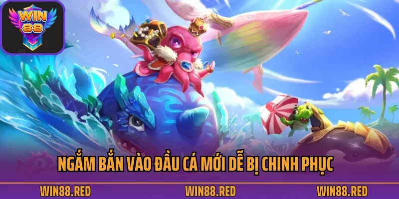 Gợi Ý Top 5 Mẹo Chơi Bắn Cá Được Áp Dụng Rộng Rãi Nhất 4 Ngắm bắn vào đầu cá mới dễ bị chinh phục